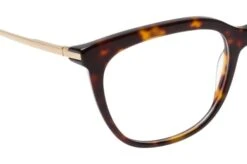 Papilion TP 3611 Havana -Visionary Glasses Sales 6725909 f 1