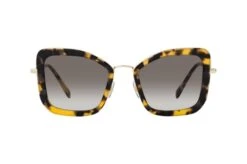 Miu Miu MU 55VS 7S00A7 -Visionary Glasses Sales 6773745 d 1