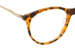 Scotch & Soda MITTE 3002 104 -Visionary Glasses Sales 6774293 f