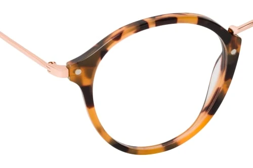 Ravin 1082 R22 7 Ravin 1082 R22 - Image 7