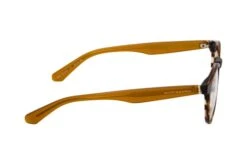 Scotch & Soda CARLO 4009 173 -Visionary Glasses Sales 6813219 b
