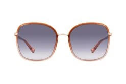 Chloé CH 0031S 001 -Visionary Glasses Sales 6814298 d