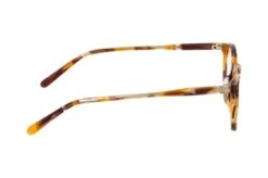 Cleef 1306 A22 -Visionary Glasses Sales 6841775 b