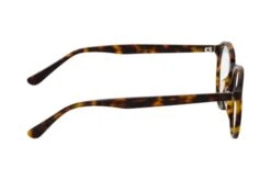 William 1262 R31 -Visionary Glasses Sales 6841818 b 1