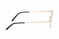 Teslin 1347 H21 -Visionary Glasses Sales 6842708 b 1