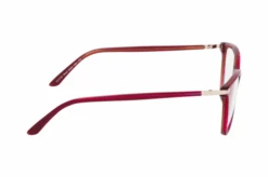 MEXX 2520 500 -Visionary Glasses Sales 6843068 b