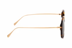 Foxx 2132 R21 13 Foxx 2132 R21 -Visionary Glasses Sales 6844660 b 1