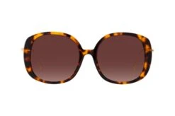 Foxx 2132 R21 15 Foxx 2132 R21 -Visionary Glasses Sales 6844660 d 1