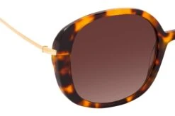 Foxx 2132 R21 16 Foxx 2132 R21 -Visionary Glasses Sales 6844660 f