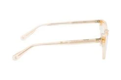 MONTI 09-02 06 -Visionary Glasses Sales 6848174 b 1