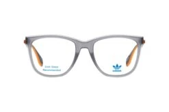Adidas Originals OR 5029 020 -Visionary Glasses Sales 6848788 d