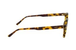 The Warhol Sun. TXR -Visionary Glasses Sales 6853872 b 1