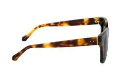 Linda Farrow LFL C71 Sun C95 11 Linda Farrow LFL C71 Sun C95 -Visionary Glasses Sales 6853885 b 1