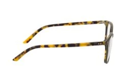 MEXX 2554 200 -Visionary Glasses Sales 6854470 b 1
