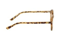 Beecher CP147 B 10 Beecher CP147 B -Visionary Glasses Sales 6854637 b