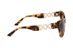MEXX 6518 300 -Visionary Glasses Sales 6859337 b 1