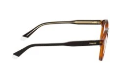 Polaroid PLD D492 086 -Visionary Glasses Sales 6877953 b 1