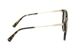 Longchamp LO 746S 320 -Visionary Glasses Sales 7474850 b